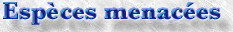 especes.jpg (5056 octets)